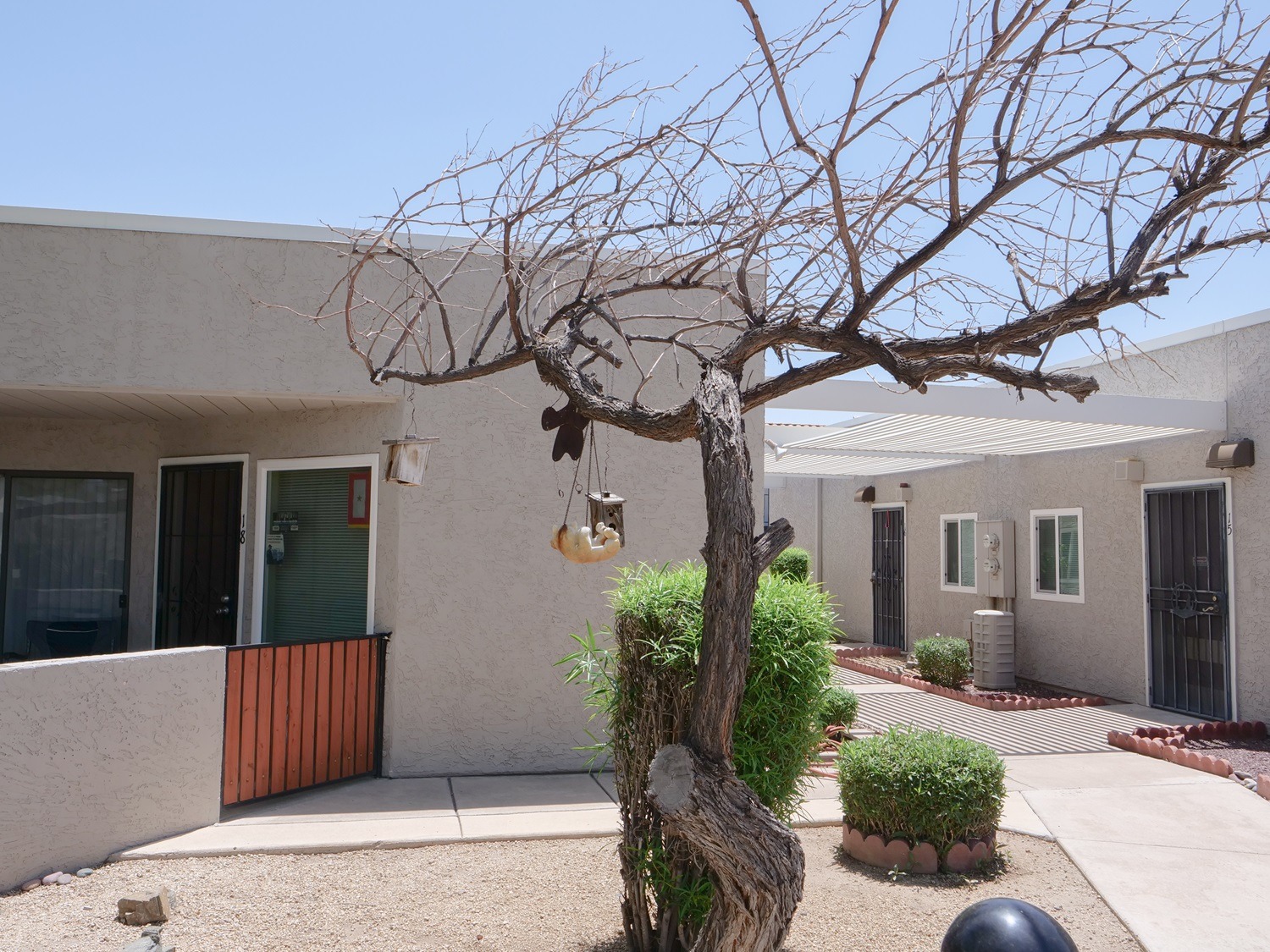 A tree with hanging planters in front of a building.
